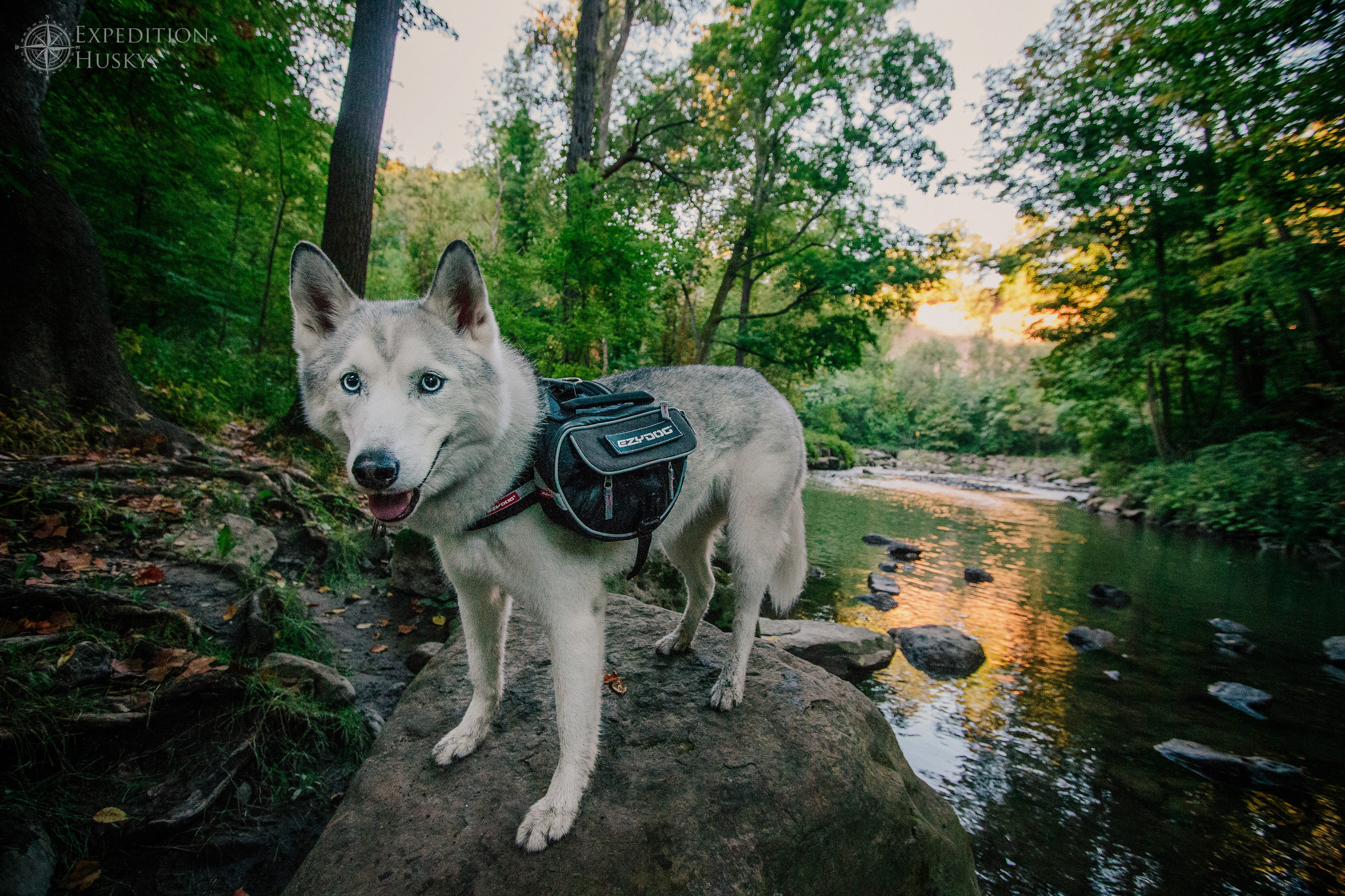 convert harness