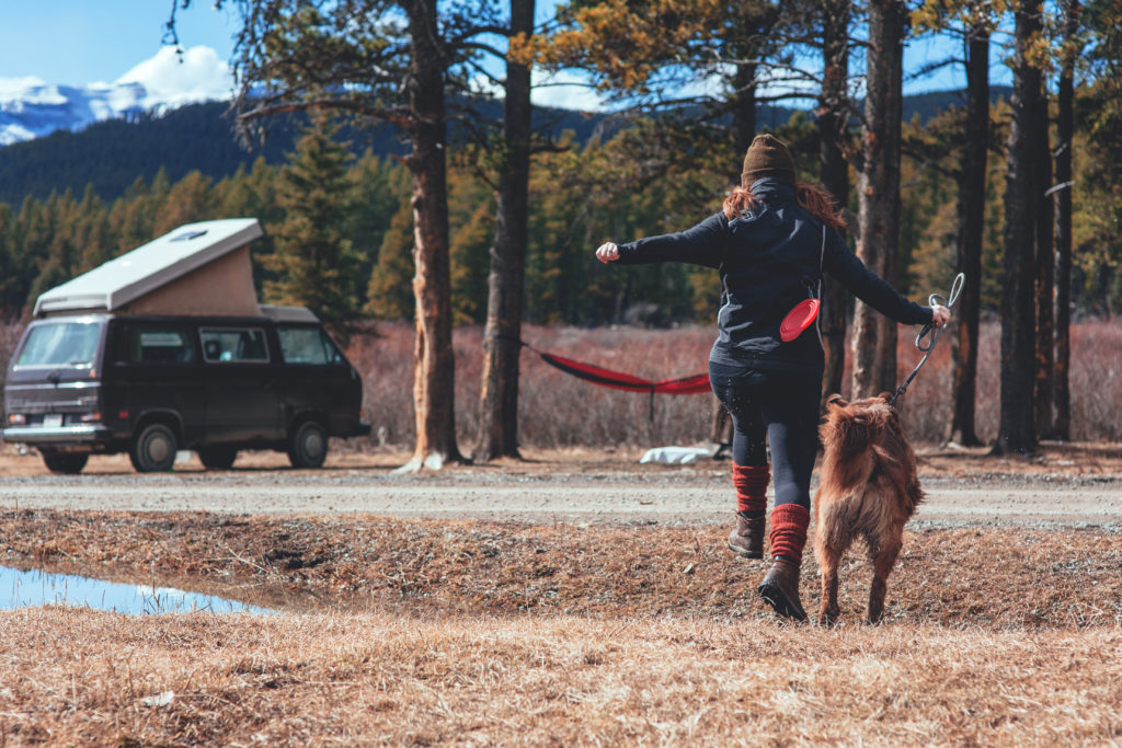 hurtta dog training vest