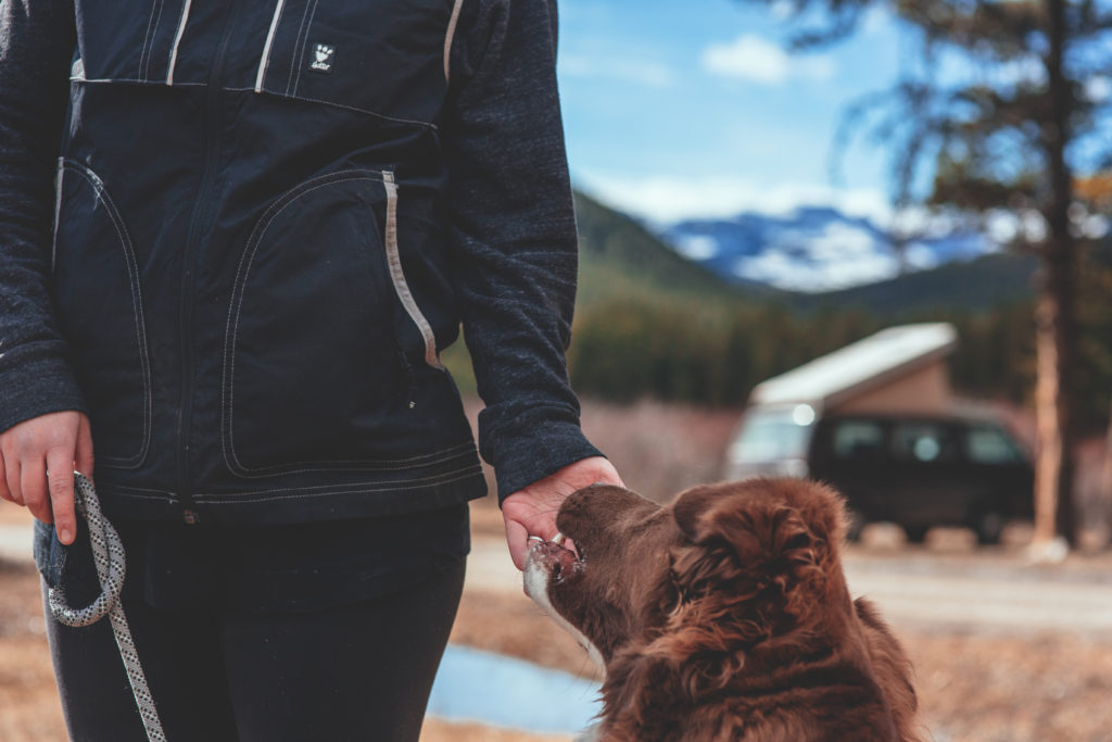 hurtta dog training vest