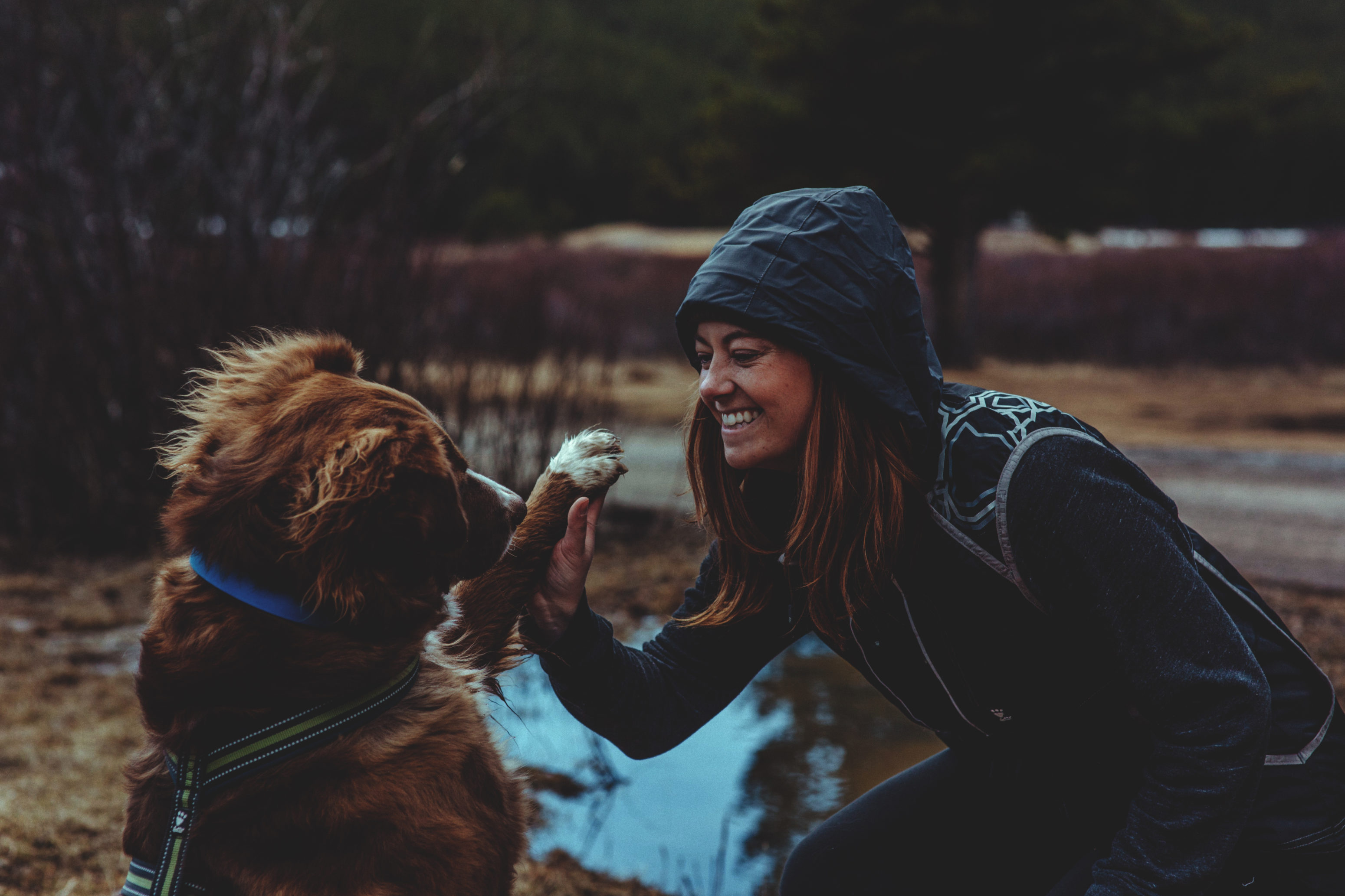 hurtta dog training vest