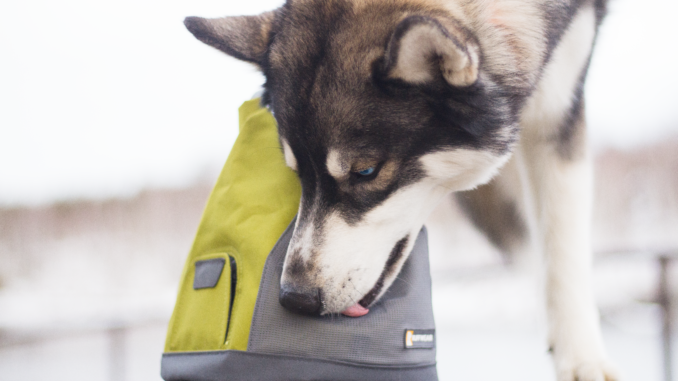 RuffwearKibbleKaddie (1)