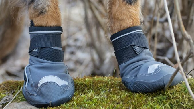 Hurtta Outback boots (4)