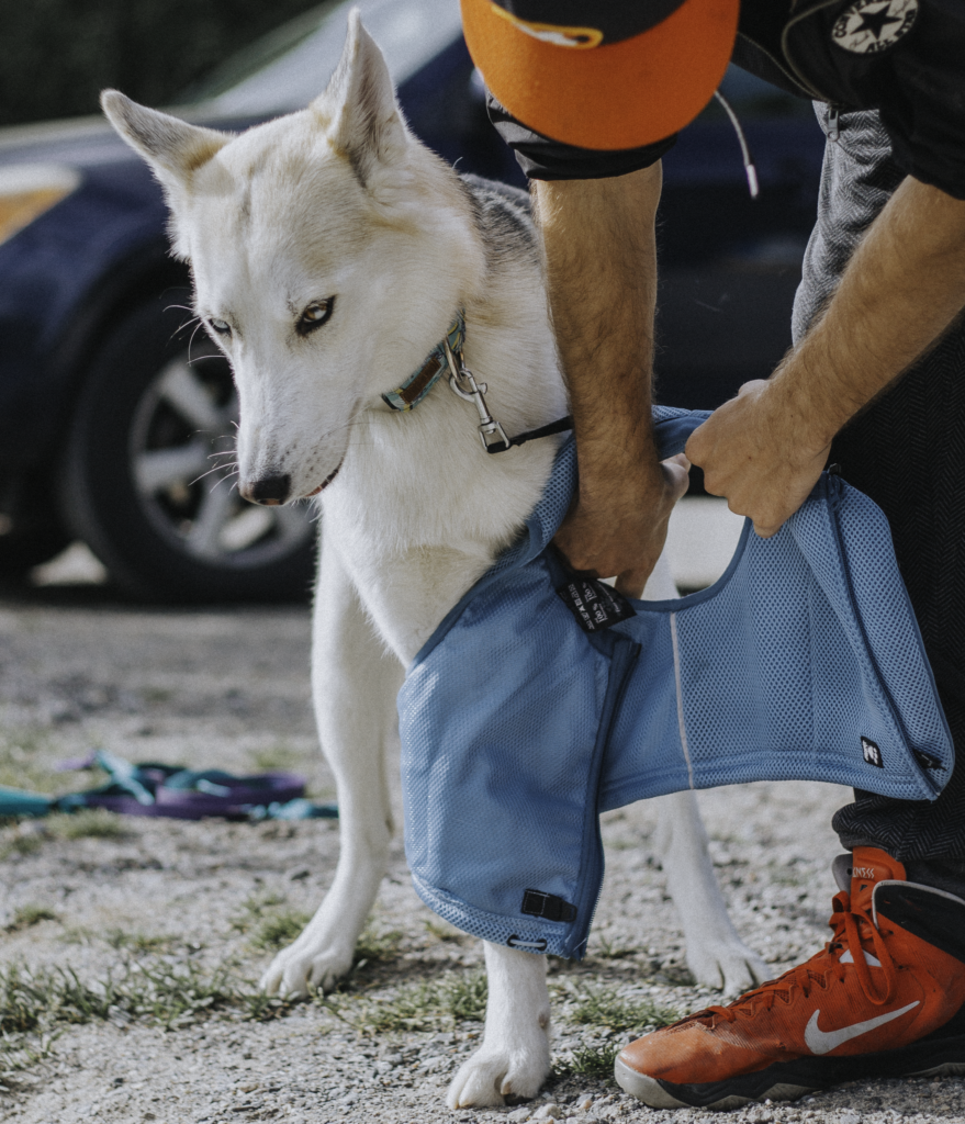 hurtta cooling harness