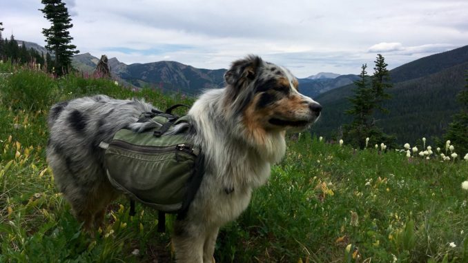 ThruHiking1