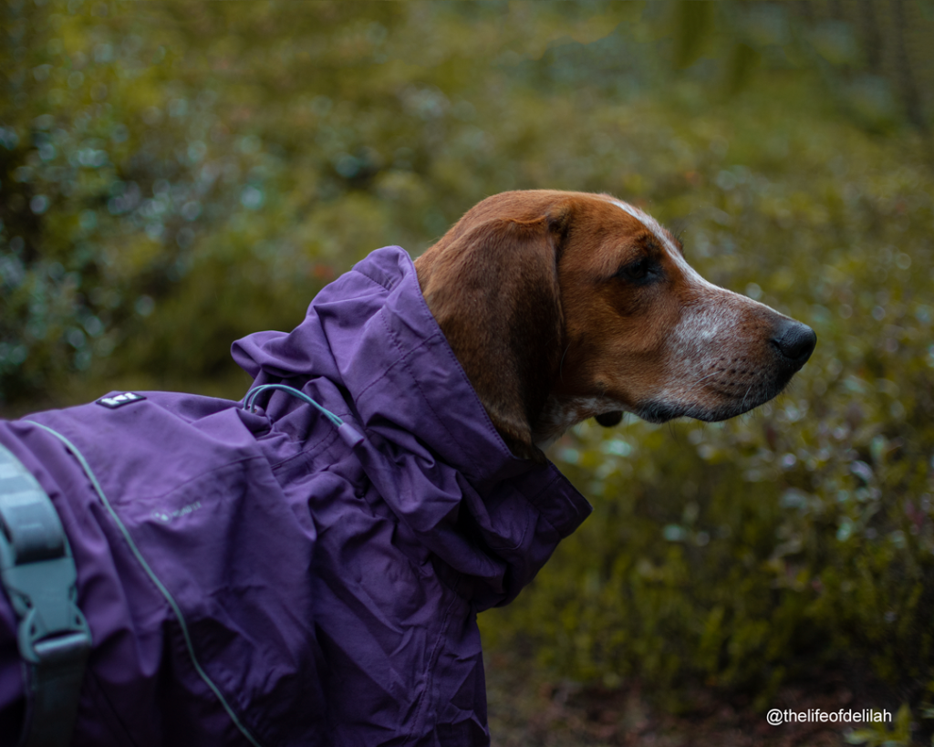 hurtta drizzle raincoat