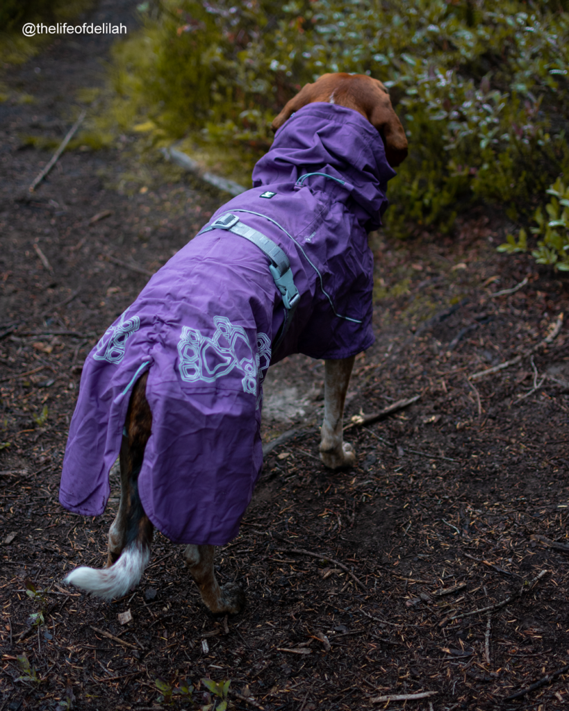 hurtta drizzle raincoat