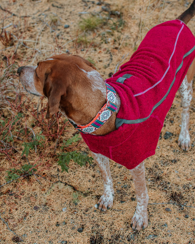 ruffwear fernie sweater